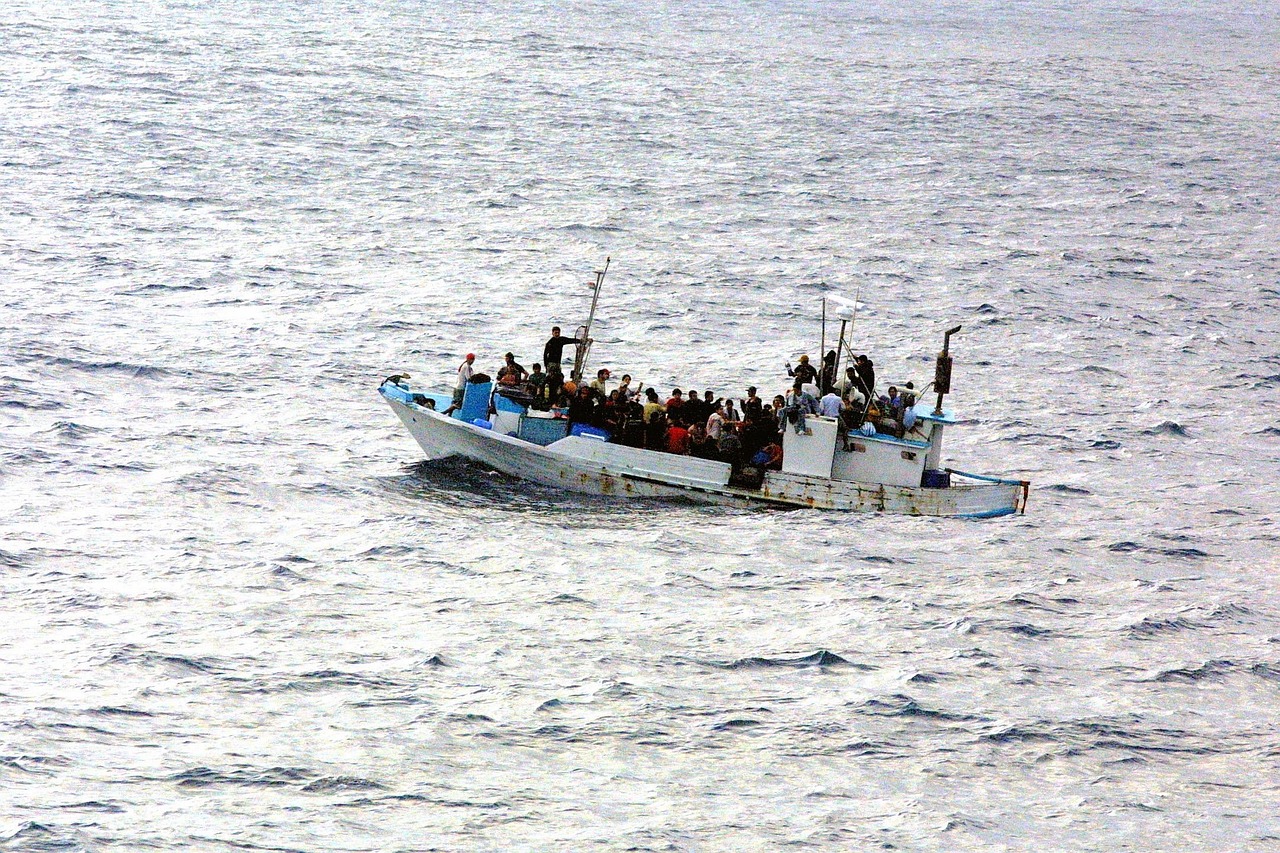 Animal Migrations: Spectacular Journeys and Conservation Challenges